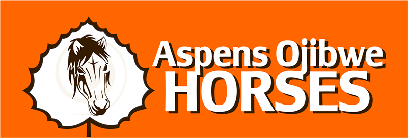 Aspens Ojibwe Horses